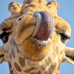 Can You Feel It - Raw Live Loop Attempt 1