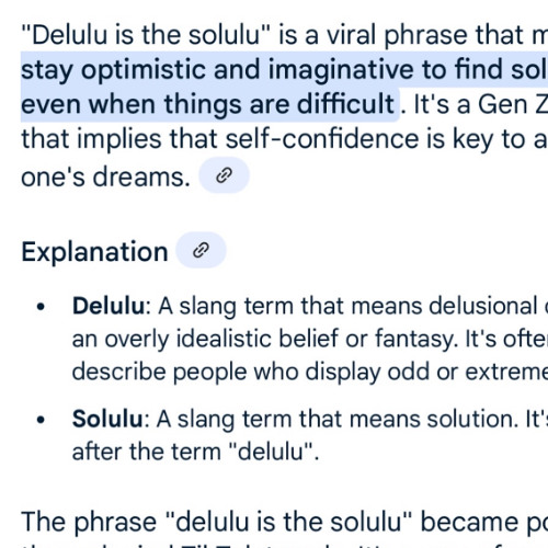 delulu is solulu 8.0