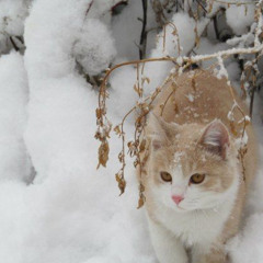 fable//game (prod sk8miles)