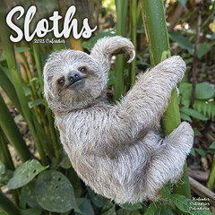 [Download] KINDLE 📌 2023 Sloths Wall Calendar by  Avonside Publishing Ltd [KINDLE PD