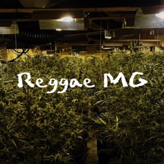 Reggae MG
