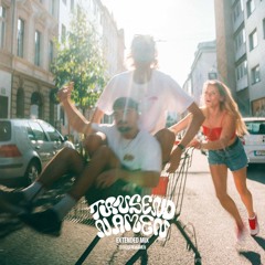 DJ TALLBOY X DJ DISCOSTOFF X MAIKE- Schiebt Unnormal (extended mix)