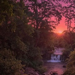 4 Albums 4 I.D Reveals