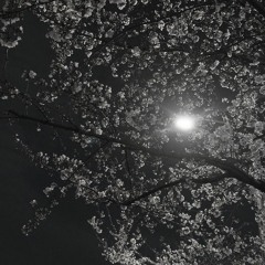 can't sleep (w/ your way 私は x bxd dxy)