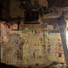 hochentwickelter daumen