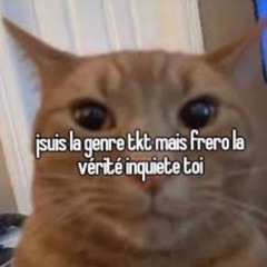 S3ME