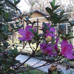 09.01.2022 - Cap. IX - Bem Aventurados os Mansos e Pacíficos - Injúrias e Violências (3)