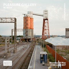 pleasure gallery w/ mish - noods radio - may 2023