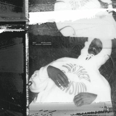 $not - Moon And Stars Slowed And Reverbed