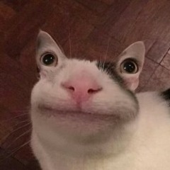 Riddim Playlists
