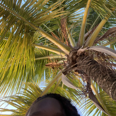 peace from the sun (demo)