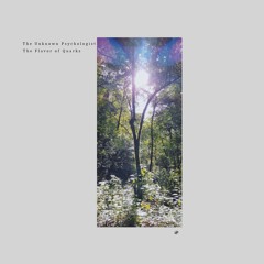 Indefinite Pitch PREMIERES. The Unknown Psychologist - Shadow Cone [KVLTÖ]