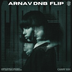 Martin Garrix & Third Party - Carry You (Arnav DNB Flip) (Extended Mix)