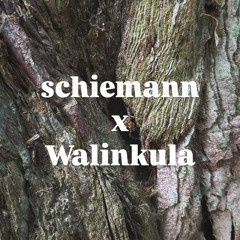schiemann @ Walinkula x Kantine KN