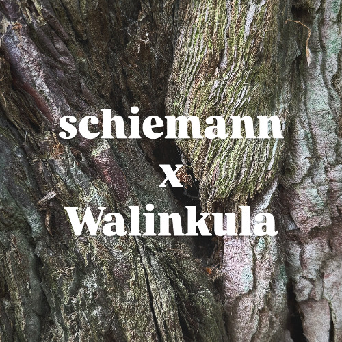 schiemann @ Walinkula x Kantine KN
