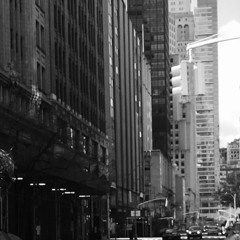 Don't Fly Away From Me