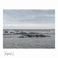 Temporal_L