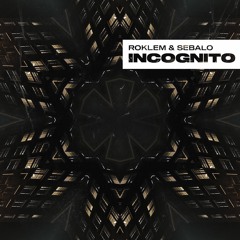 Roklem & Sebalo - Incognito