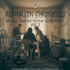 We Just Wanted to Play Some Music. Vol2