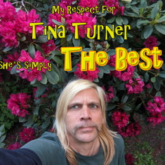 simply "The Best" - Oli Boli - Tina Turner Tribute