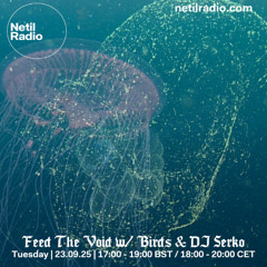 Netil Radio