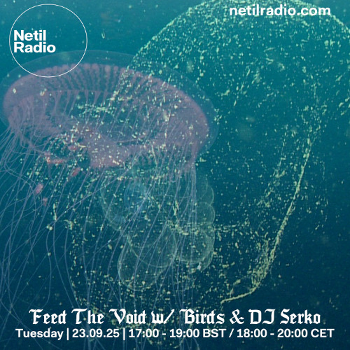 Feed The Void w/ Birds - 4th Tuesday 5-7pm