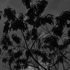 About midnight