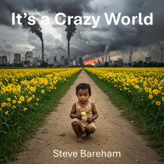 It's a Crazy World WavHD