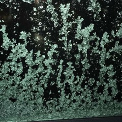 Sassa - Panucci's Pizza Cover