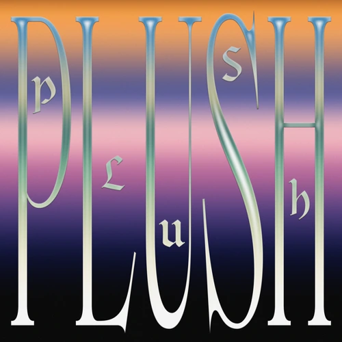 Artwork for the song DJ Seinfeld - Plush by DJ Seinfeld on Next Sound