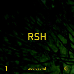 R.S.H. 6