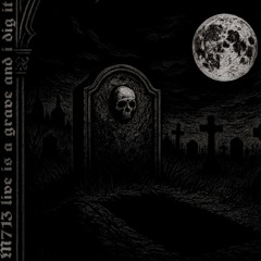 life is a grave and i dig it