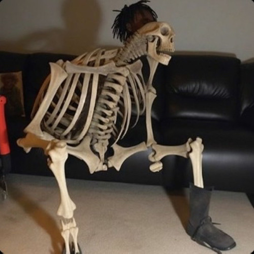 Skeletrix Mode - Edward Skeletrix
