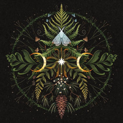 Secrets Of The Swamp(Exclusive Forest Set 27-02-2025)