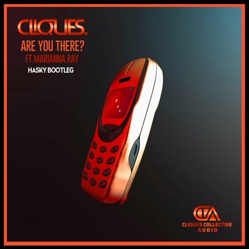 Cliques - Are You There (Hasky Bootleg)