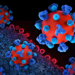 What's Right: HIV infection soon prevented for 25$ ?