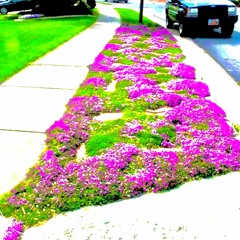 June clipz :))