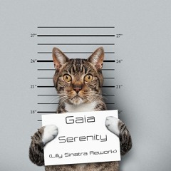 Gaia Serenity  (Lilly Sinatra Rework Mix)