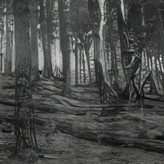 ItsAllAGameToThem.mp3