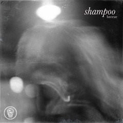 a brisk breeze - Shampoo