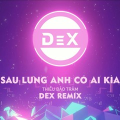 Sau Lưng Anh Có Ai Kìa - Thiều Bảo Trâm | DEX remix