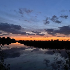 Through God’s Word