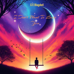 I Don't Want To Loose You