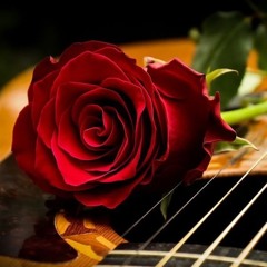 Praising in the Psalms 🌹🎻🌺🎶 La Alabanza en Los Salmos 🌹🎻🌺🎶