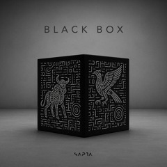 Black Box