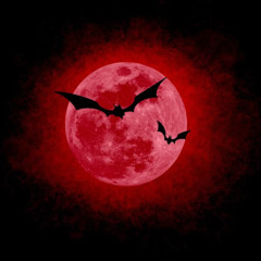 Don't need nobody (prod. senua)