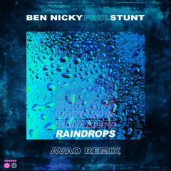 Raindrops (Avao Remix) [feat. Stunt]