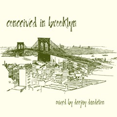 conceived in brooklyn