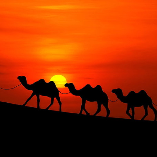 arabian nights edit audio