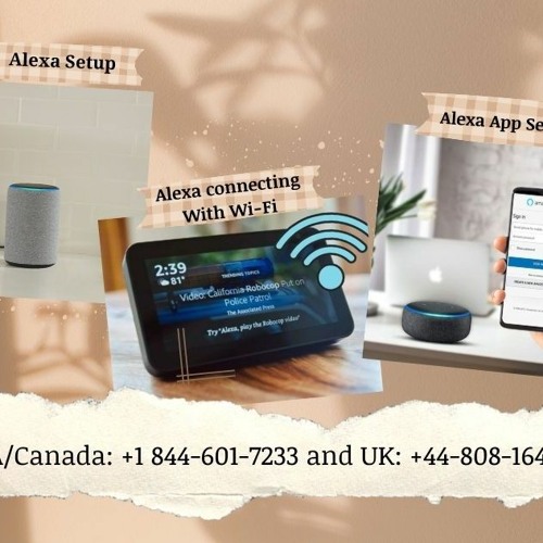 Stream episode Easy Steps How To Set Up Alexa On Echo by Alexa Customer